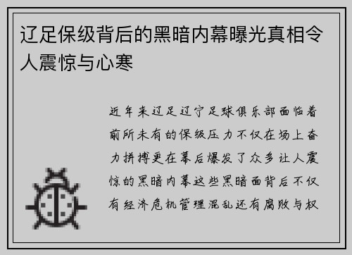 辽足保级背后的黑暗内幕曝光真相令人震惊与心寒
