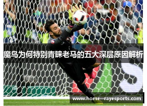 魔鸟为何特别青睐老马的五大深层原因解析